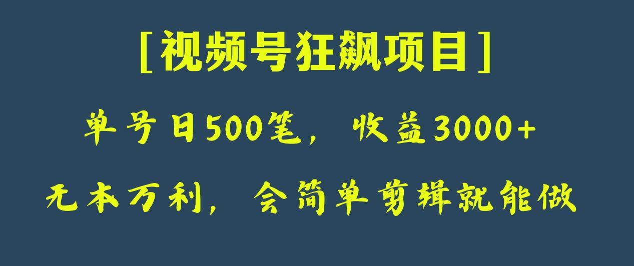 日收款500笔，纯利润3000+，视频号狂飙项目！| 网创圈