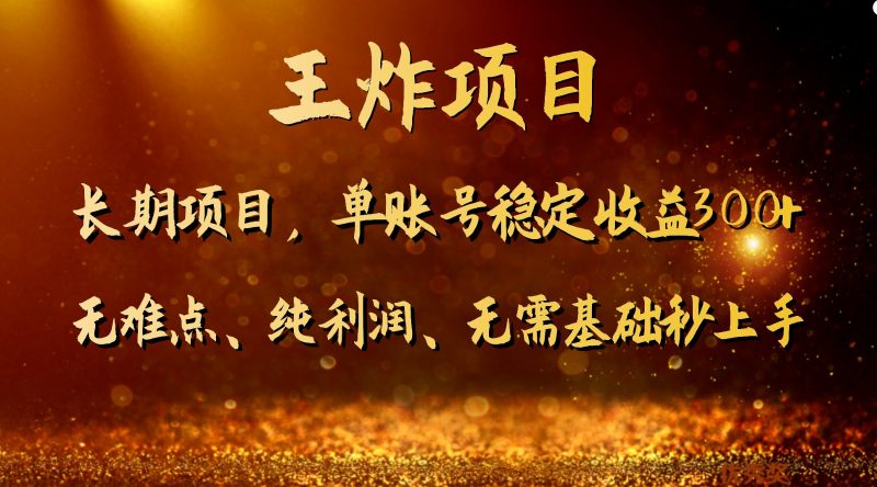 王炸项目！单账号稳定收益300+，适合长期操作的副业兼职。| 副业网
