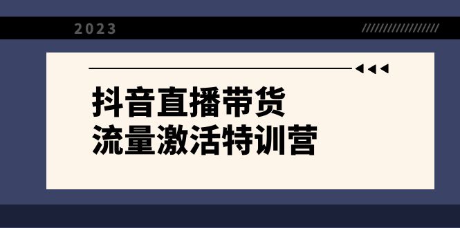 抖音直播带货-流量激活特训营，入行新手小白主播必学（21节课+资料）| 网创圈
