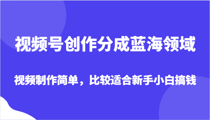 视频号创作分成蓝海领域，视频制作简单，比较适合新手小白搞钱| 副业网