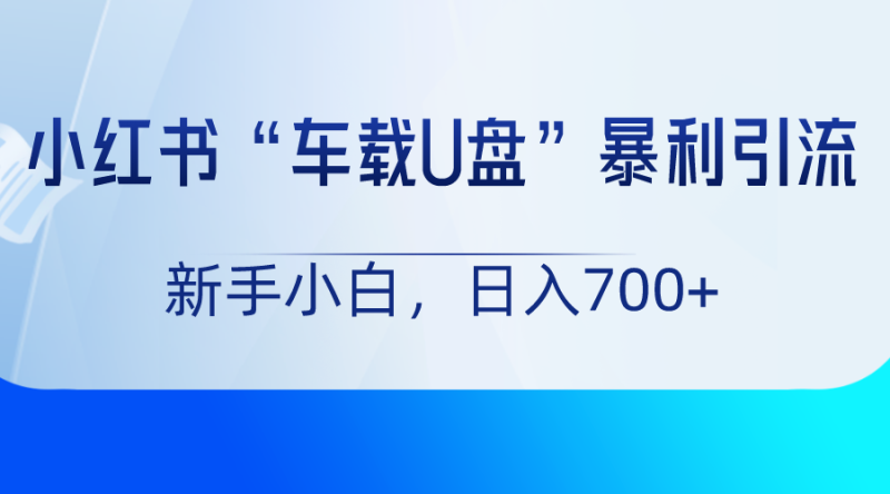 小红书“车载U盘”项目，暴利引流，新手小白轻松日入700+| 副业网