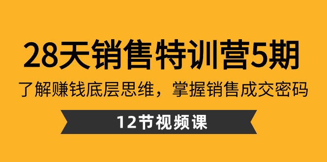 28天销售特训营5期：了解赚钱底层思维，掌握销售成交密码（12节课）| 副业网