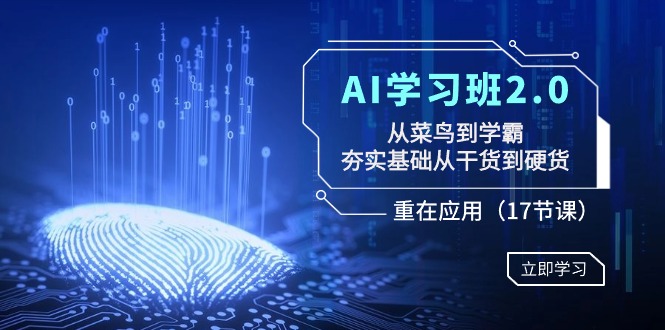 AI学习班2.0：从菜鸟到学霸，夯实基础从干货到硬货，重在应用（17节课）| 副业网