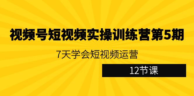 视频号短视频实操训练营第5期：7天学会短视频运营（12节课）| 副业网