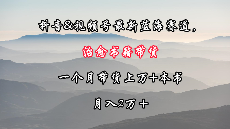 抖音&视频号最新蓝海赛道，治愈书籍带货，一个月带货上万+本书，月入2万＋| 网创圈