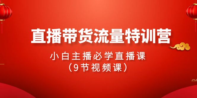 2024直播带货流量特训营，小白主播必学直播课（9节视频课）| 网创圈