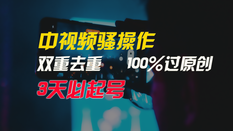 中视频骚操作，双重去重100%过原创，3天比必起号，简单无脑，月入3W+| 副业网