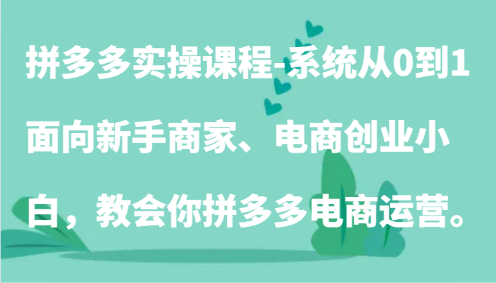 拼多多实操课程-系统从0到1，面向新手商家、电商创业小白，教会你拼多多电商运营。| 网创圈