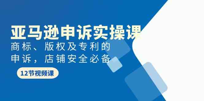 亚马逊申诉实战课，商标、版权及专利的申诉，店铺安全必备| 网创圈