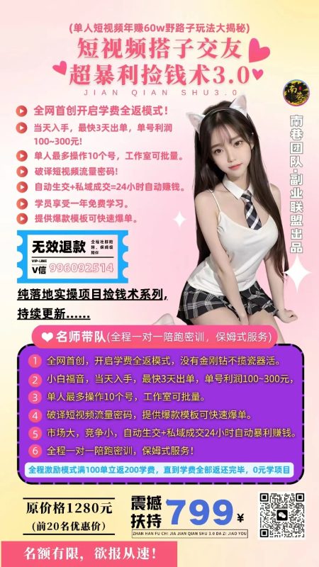 单人短视频年赚60w野路子玩法大揭秘(短视频搭子交友超暴利捡钱术3.0)| 副业网