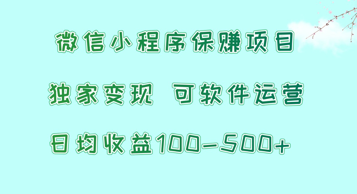 微信小程序保赚项目，日均收益100~500+，独家变现，可软件运营| 网创圈
