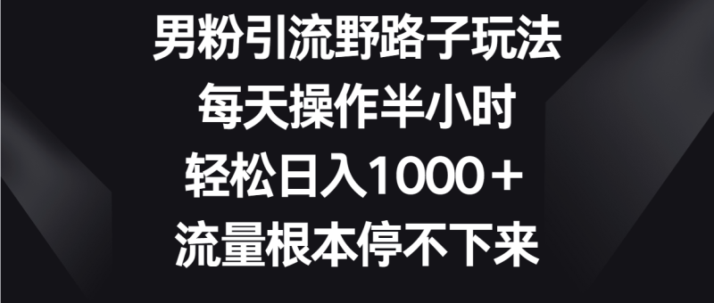 男粉引流野路子玩法，每天操作半小时轻松日入1000＋，流量根本停不下来| 副业网