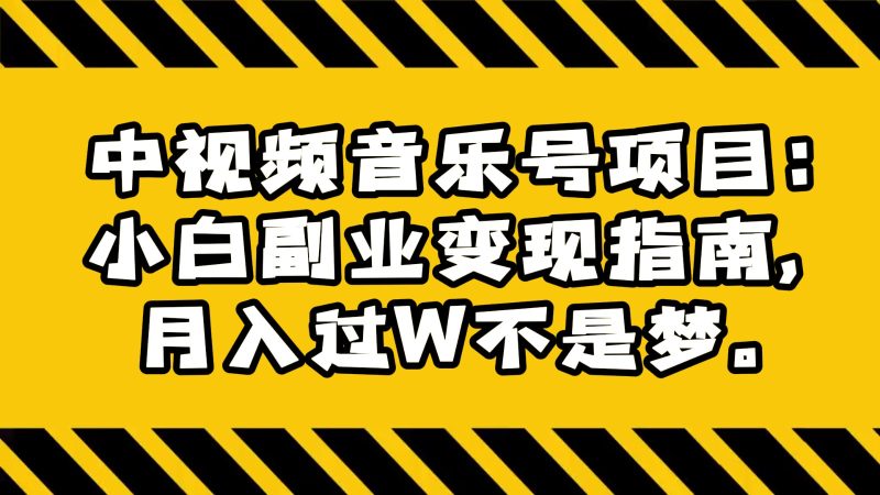 中视频音乐号项目：小白副业变现指南，月入过W不是梦。| 副业网