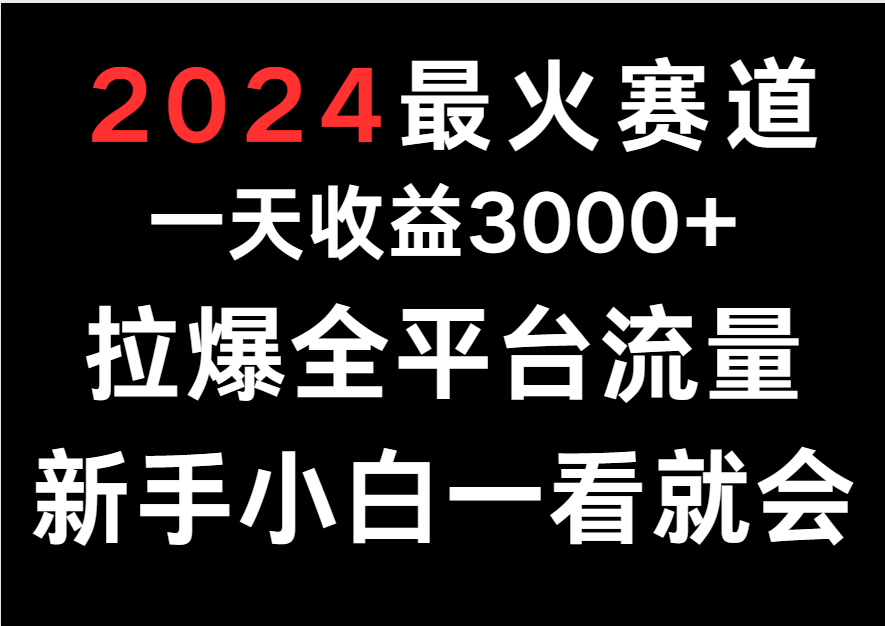 2024最火赛道，一天收一3000+.拉爆全平台流量，新手小白一看就会| 副业网