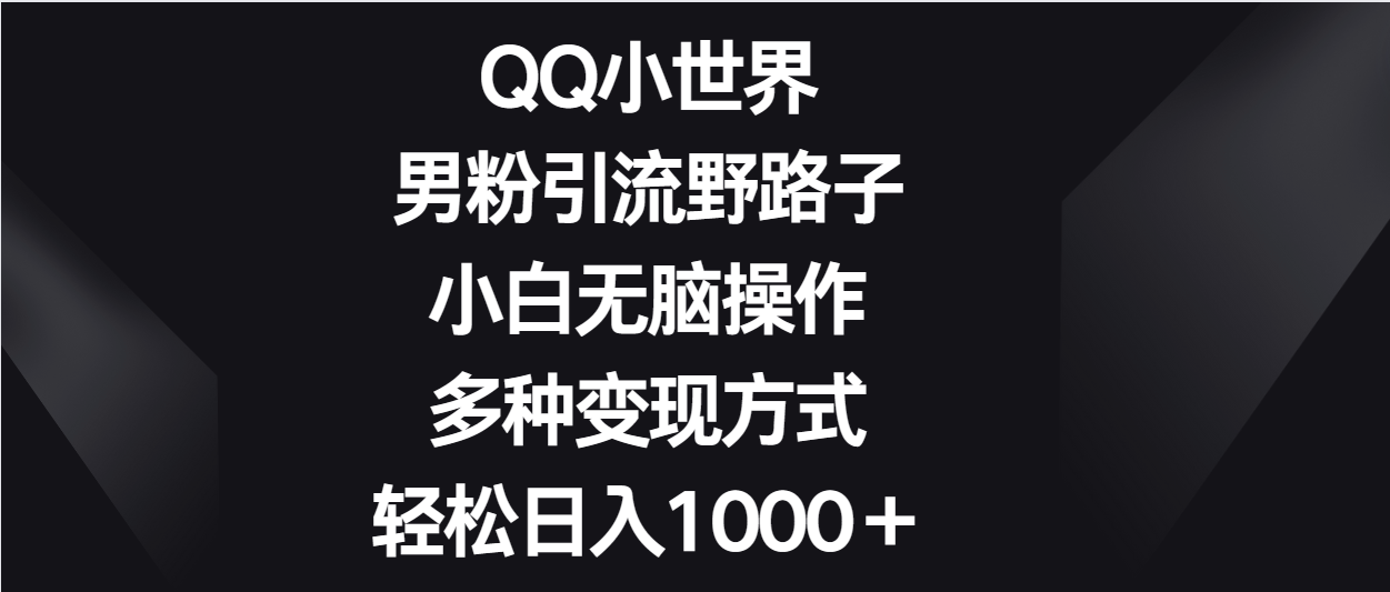 QQ小世界男粉引流野路子，小白无脑操作，多种变现方式轻松日入1000＋| 网创圈