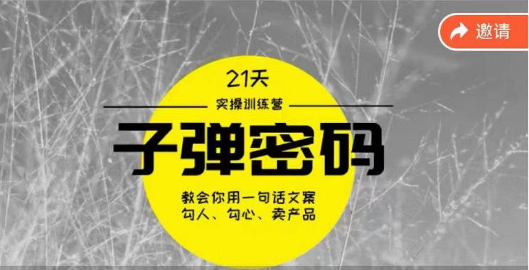 《子弹密码训练营》用一句话文案勾人勾心卖产品，21天学到顶尖文案大师策略和技巧| 副业网