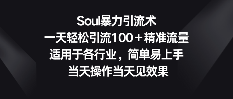 Soul暴力引流术，一天轻松引流100＋精准流量，适用于各行业，简单易上手！| 副业网