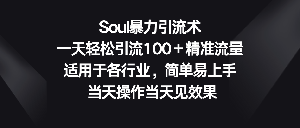 Soul暴力引流术，一天轻松引流100＋精准流量，适用于各行业，简单易上手！| 副业网