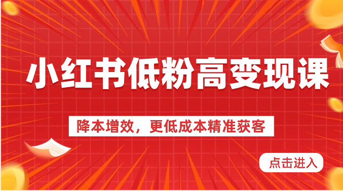 小红书低粉高变现课-降本增效，更低成本精准获客，小红书必爆的流量密码| 网创圈
