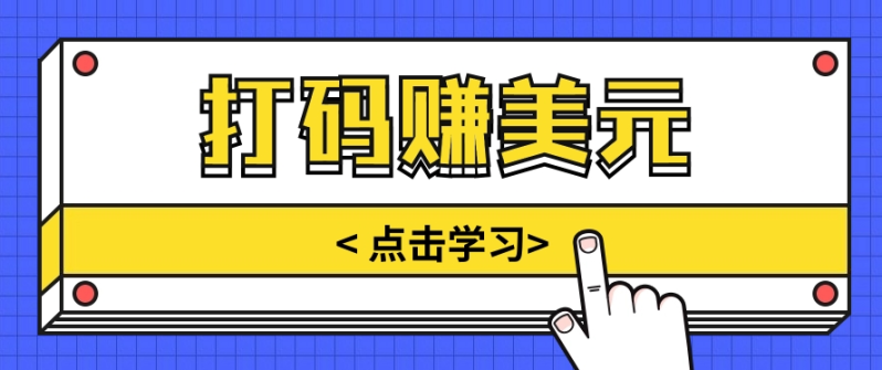 手动输入验证码，每天多投入几个小时，也能轻松获得两三千元的收入| 网创圈