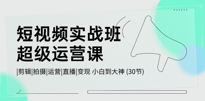 短视频实战班超级运营课 |剪辑|拍摄|运营|直播|变现 小白到大神 (30节)| 网创圈