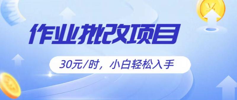 作业批改项目30元/时，简单小白轻松入手，非常适合兼职| 网创圈