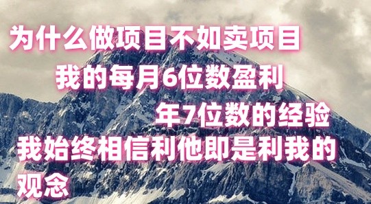 做项目不如卖项目，每月6位数盈利，年7位数经验| 副业网