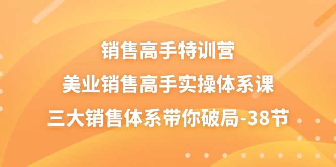 销售高手特训营，美业销售高手实操体系课，三大销售体系带你破局（38节）| 网创圈