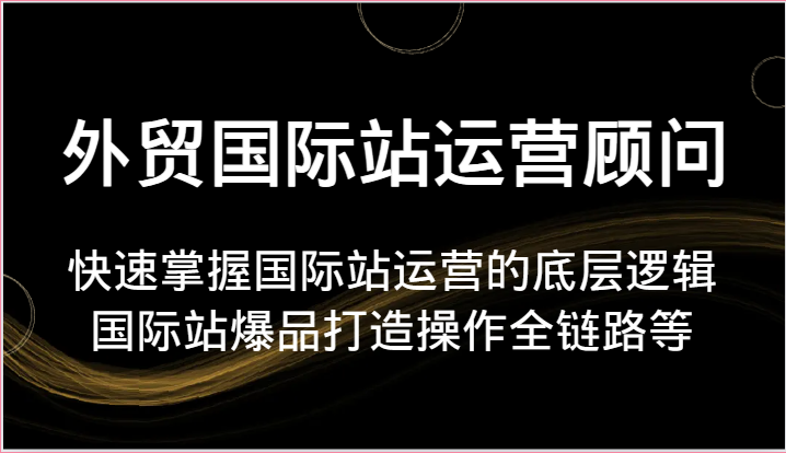 外贸国际站运营顾问-快速掌握国际站运营的底层逻辑，国际站爆品打造操作全链路等| 副业网