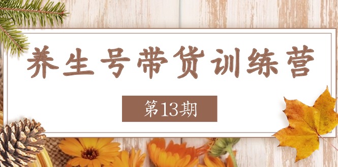 养生号带货训练营【第13期】收益更稳定的玩法，让你带货收益爆炸| 网创圈