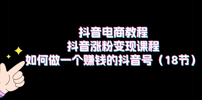 抖音电商教程：抖音涨粉变现课程：如何做一个赚钱的抖音号（18节）| 网创圈