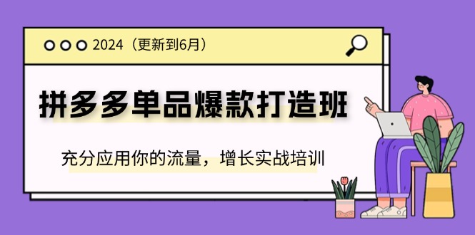 2024拼多多单品爆款打造班，充分应用你的流量，增长实战培训(更新6月)| 网创圈