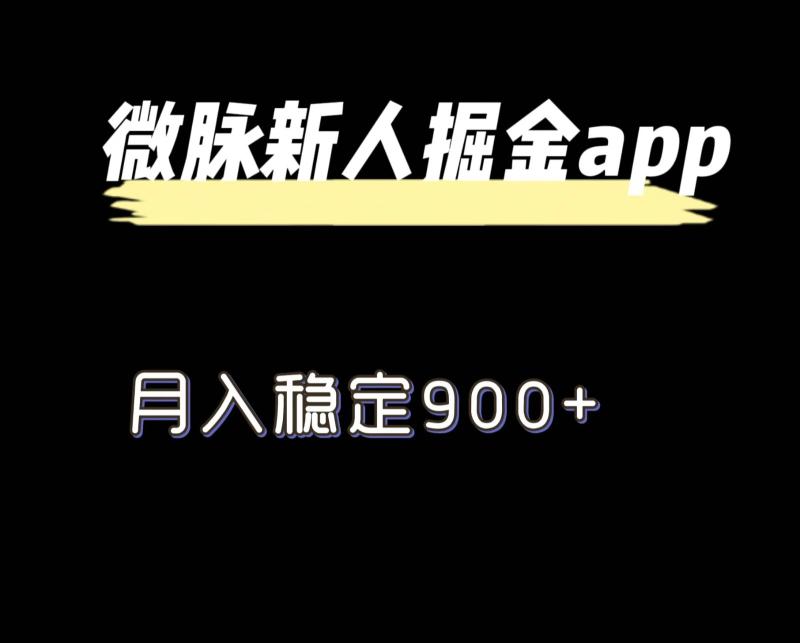 最新微脉长久项目，拉新掘金，月入稳定900+| 网创圈