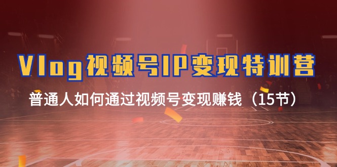 Vlog视频号IP变现特训营，普通人如何通过视频号变现赚钱（15节）| 副业网