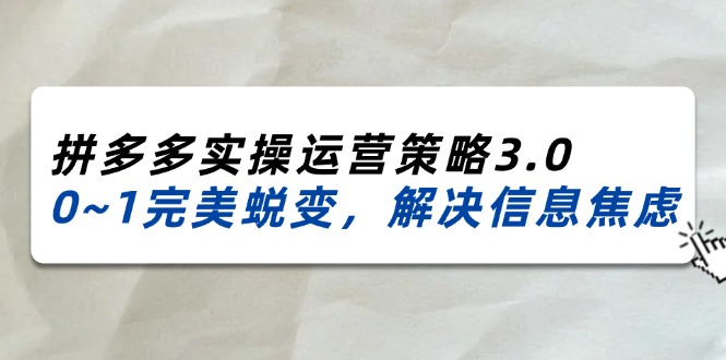 2024-2025拼多多实操运营策略3.0，0~1完美蜕变，解决信息焦虑（38节）| 副业网