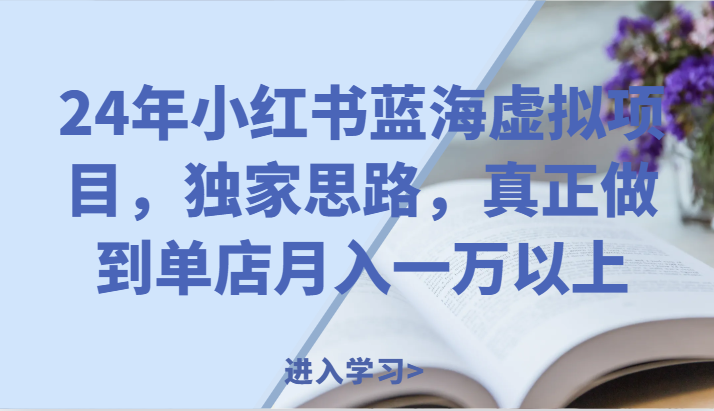 24年小红书蓝海虚拟项目，独家思路，真正做到单店月入一万以上。| 网创圈