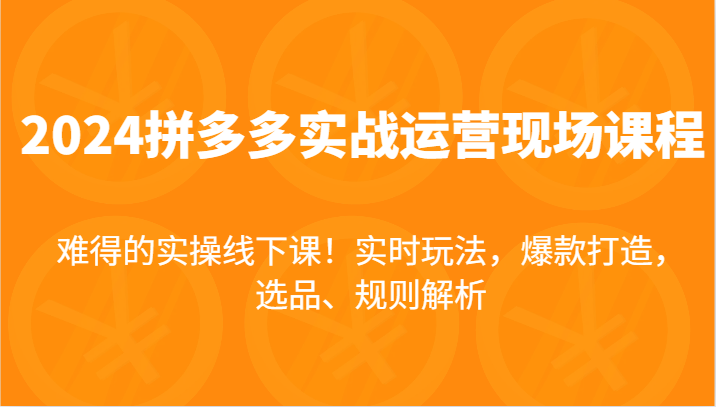 2024拼多多实战运营现场课，实时玩法，爆款打造，选品、规则解析，难得的实操线下课！| 网创圈