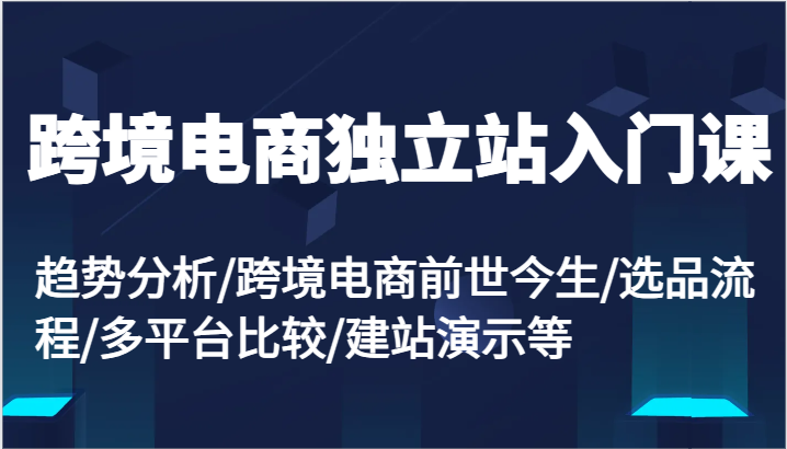 跨境电商独立站入门课：趋势分析/跨境电商前世今生/选品流程/多平台比较/建站演示等| 网创圈