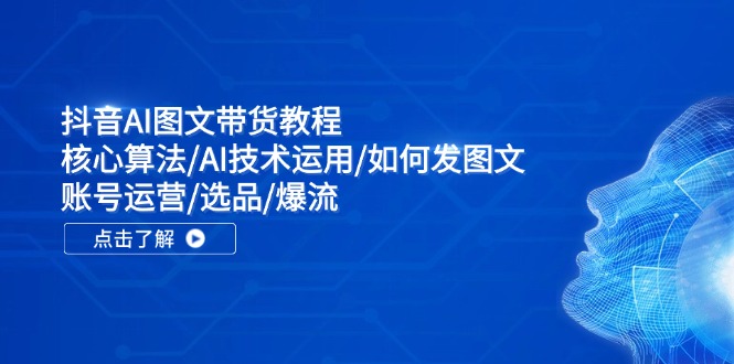 抖音AI图文带货教程：核心算法/AI技术运用/如何发图文/账号运营/选品/爆流| 网创圈