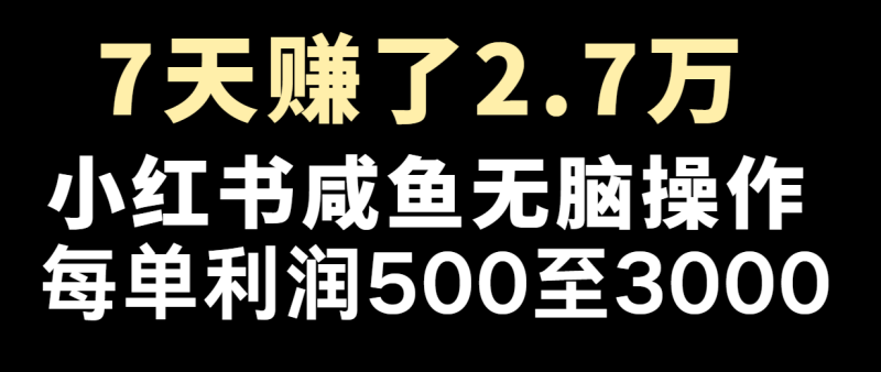 七天赚了2.7万！每单利润最少500+，轻松月入5万+小白有手就行| 副业网
