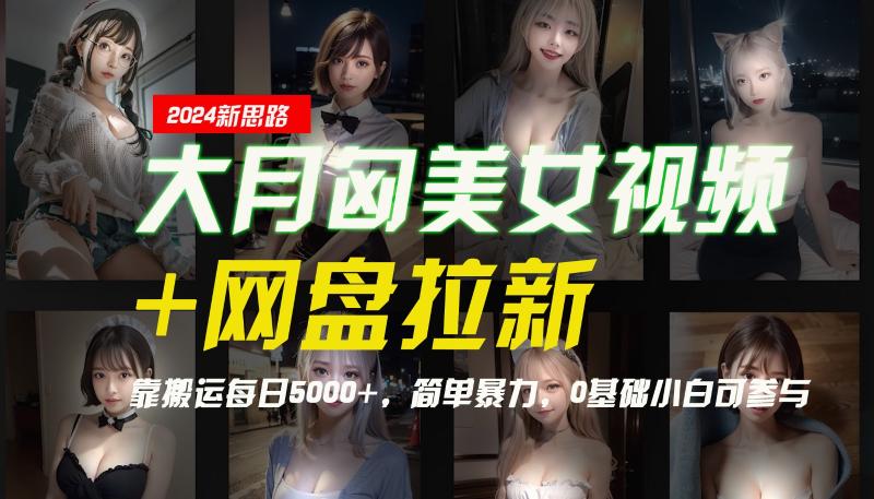 【新思路】大月匈美女视频+网盘拉新，靠搬运每日5000+，简单暴力，0基础小白可参与| 副业网