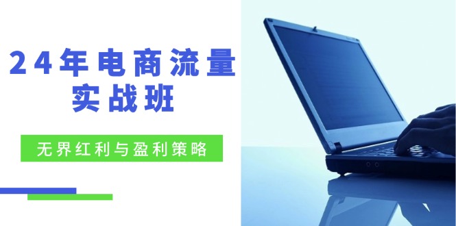 电商流量实战班：无界红利与盈利策略，终极提升/关键词优化/精准人群拓展/创新玩法| 网创圈