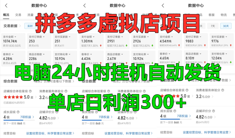 拼多多虚拟店铺项目，电脑挂机自动发货，单店日利润300+| 网创圈
