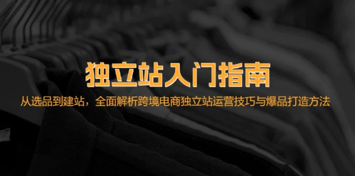 独立站入门指南：从选品到建站，全面解析跨境电商独立站运营技巧与爆品打造方法| 网创圈