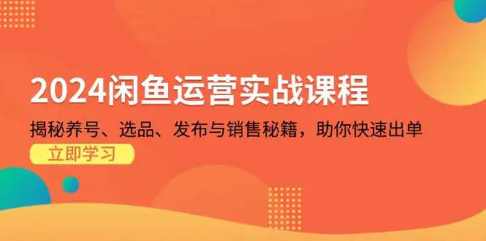 2024闲鱼运营实战课程：揭秘养号、选品、发布与销售秘籍，助你快速出单| 网创圈