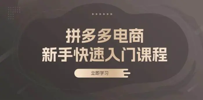 拼多多电商新手快速入门课程：涵盖基础、实战与选款，助力小白轻松上手| 网创圈