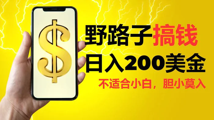 挂机野路子搞钱，日入200美金，路子很野，小白莫入| 网创圈