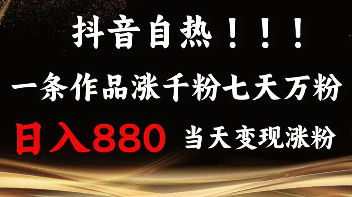 抖音小红书自热，一条作品1000粉，7天万粉，单日变现880收益| 副业网