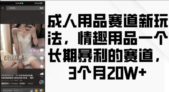 成人用品赛道新玩法，情趣用品一个长期暴利的赛道，3个月收益20个| 网创圈
