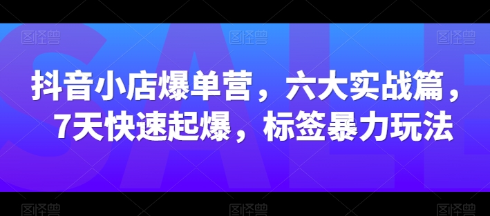 抖音小店爆单营，六大实战篇，7天快速起爆，标签暴力玩法| 网创圈